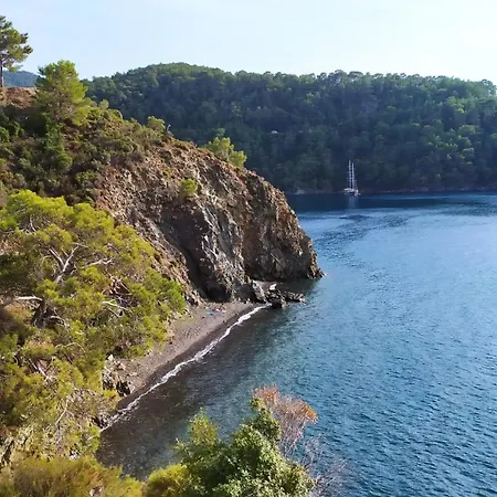 Deniz Yildizi Daire *